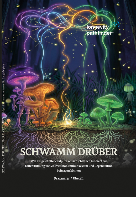 Buchcover schwamm drüber